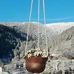 Il Nido Del Pettirosso Per Coppie