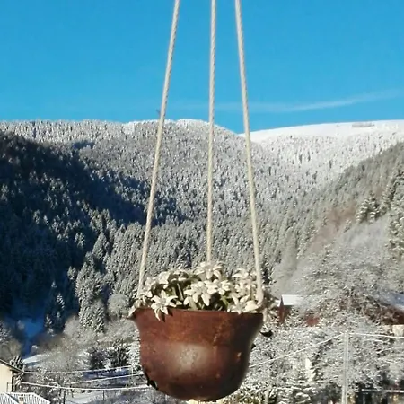 Il Nido Del Pettirosso Per Coppie
